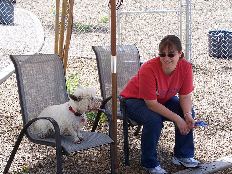 Photo Gallery Second Home Pet Resort Phoenix AZ