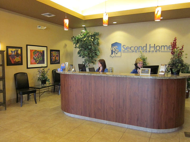 Photo Gallery Second Home Pet Resort Phoenix AZ